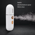 Mini Portable Facial Steamer